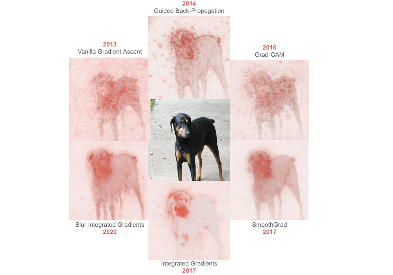 A Visual History of Interpretation for Image Recognition LaptrinhX / News