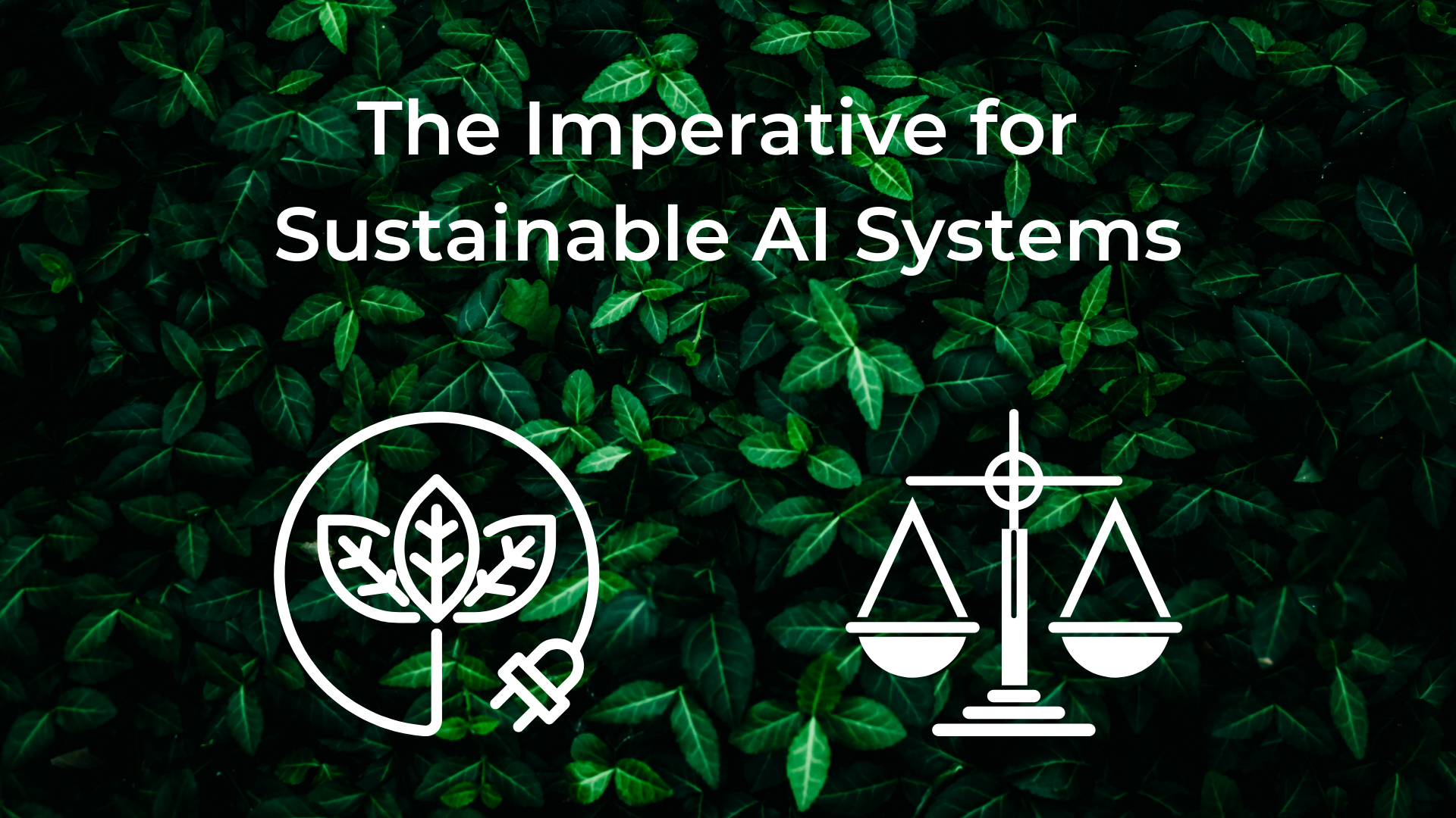 The Imperative for Sustainable AI Systems