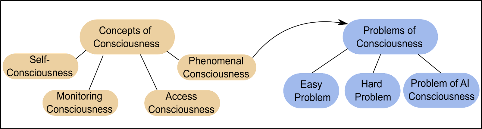 An Introduction to the Problems of AI Consciousness