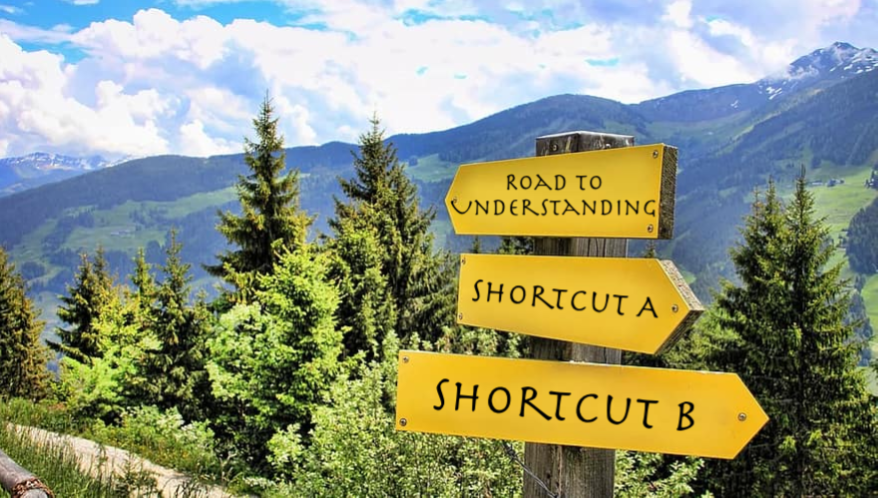 Shortcuts: How Neural Networks Love to Cheat